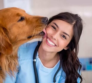 General Vet Services in San Diego