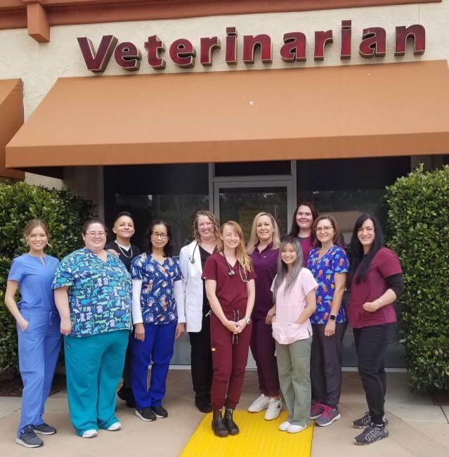 [practice:city] Veterinary clinic