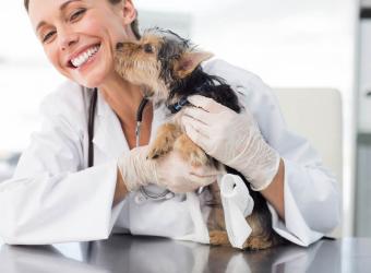 10 Steps to Stress-Free Veterinary Visits